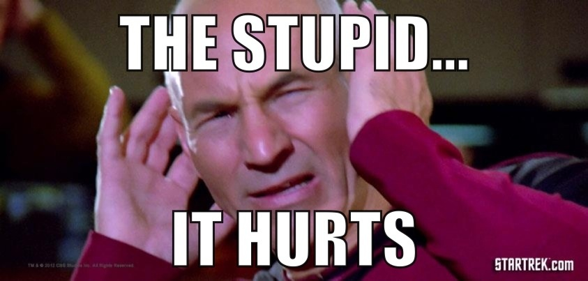 captain-picard-meme-the-stupid-it-hurts-jpg.184637